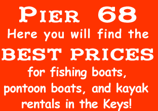 Pier 68 Boat Rental